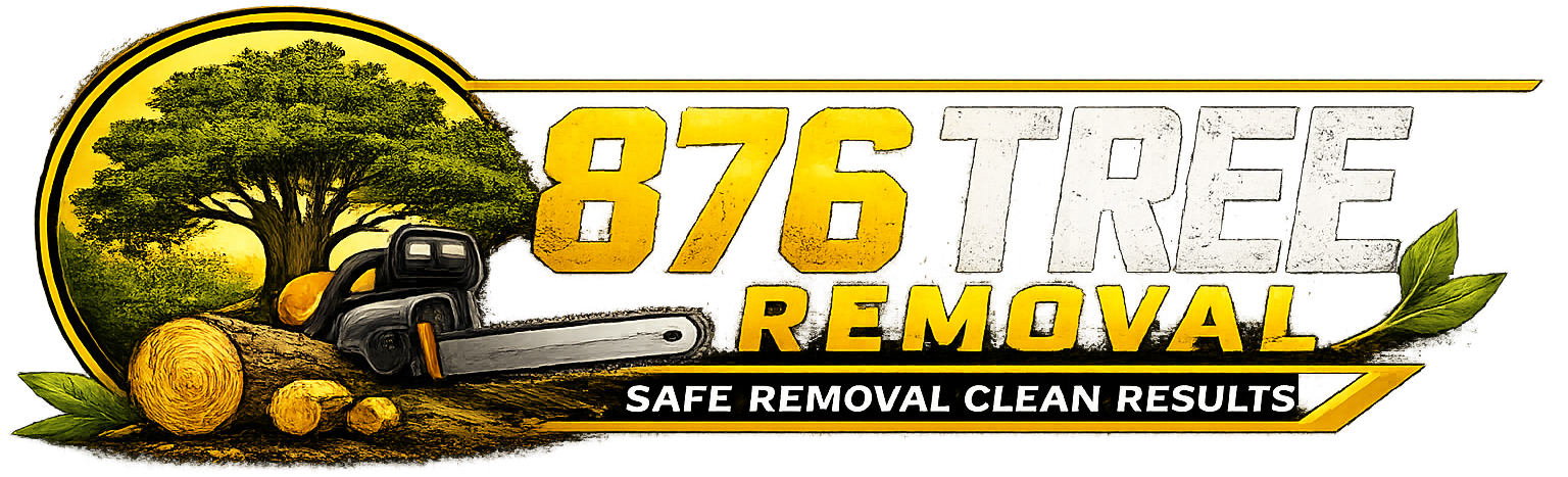 876 Tree Removal